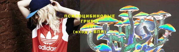 мет Аркадак