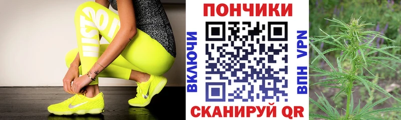 Купить где  Краснознаменск  Марихуана SATIVA & INDICA 